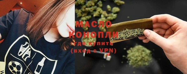 дмт Елизово