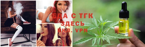 дмт Елизово