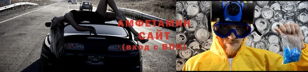 прущие грибы Дмитровск