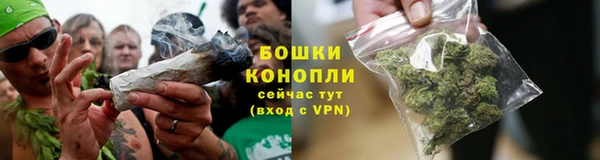 дмт Елизово