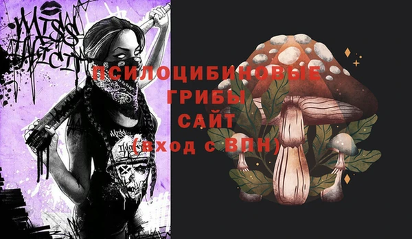 дмт Елизово