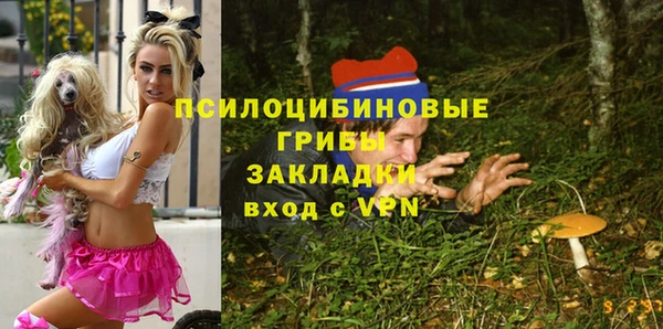 каннабис Дмитров