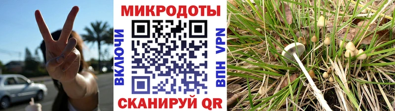 Псилоцибиновые грибы MAGIC MUSHROOMS  Купить  Покров 